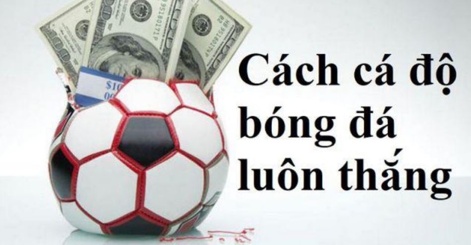 Sin88bet chia sẻ cách cá độ luôn thắng