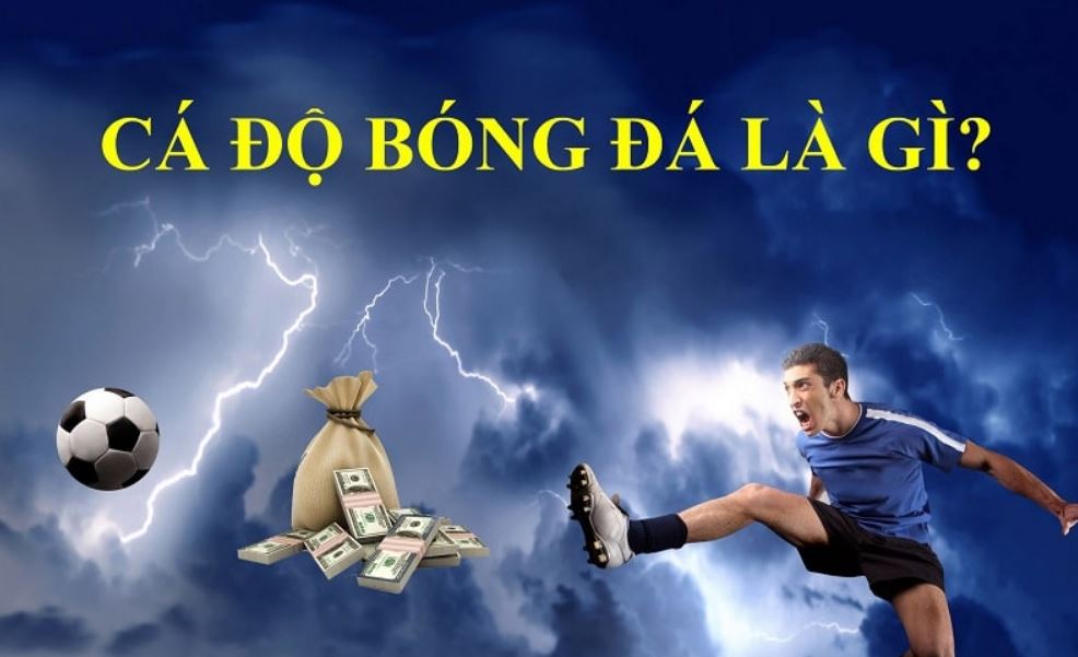 Bạn nên tìm hiểu thật kỹ trước khi cá độ bóng đá