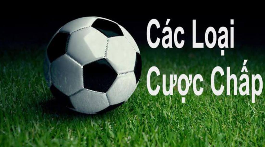 Giới thiệu về các loại kèo chấp có tại Sin88