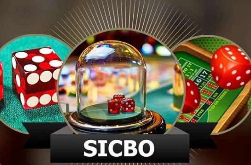 Giới thiệu về tựa game tài xỉu tại nhà cái Sin88