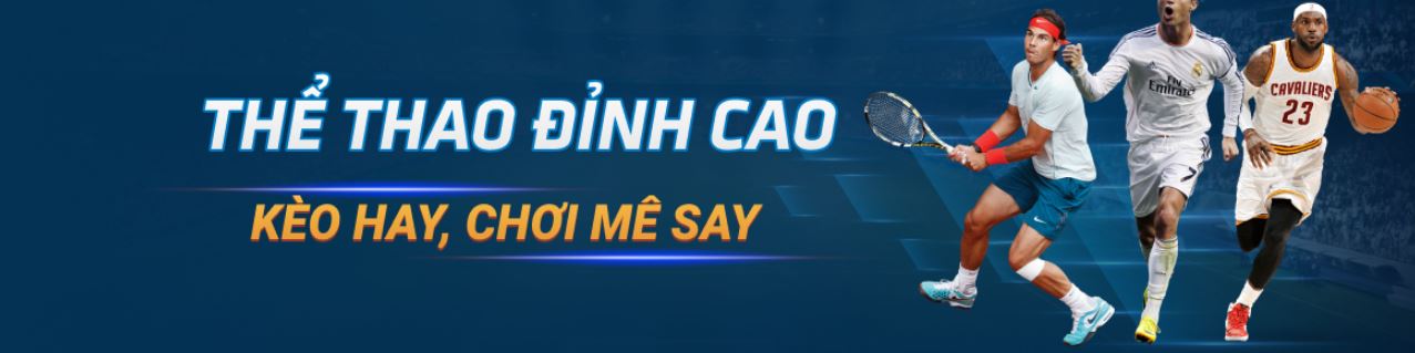 Sin88 mang đến những đãi ngộ hết sức hấp dẫn