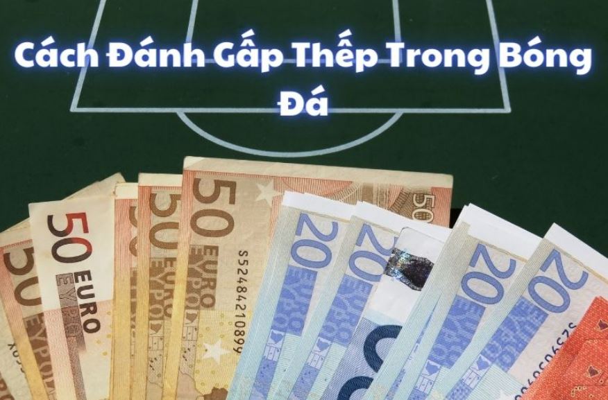 Tìm hiểu kỹ càng trước khi cược gấp thếp