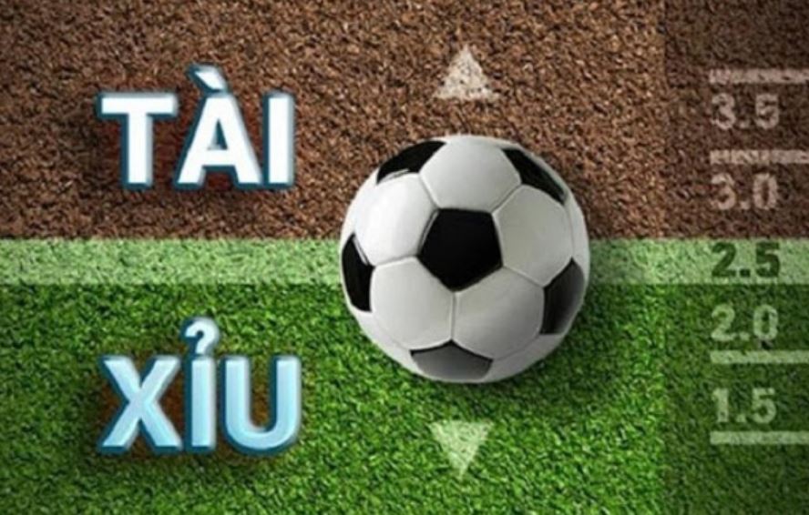 Giới thiệu về kèo tài xỉu được yêu thích tại Sin88