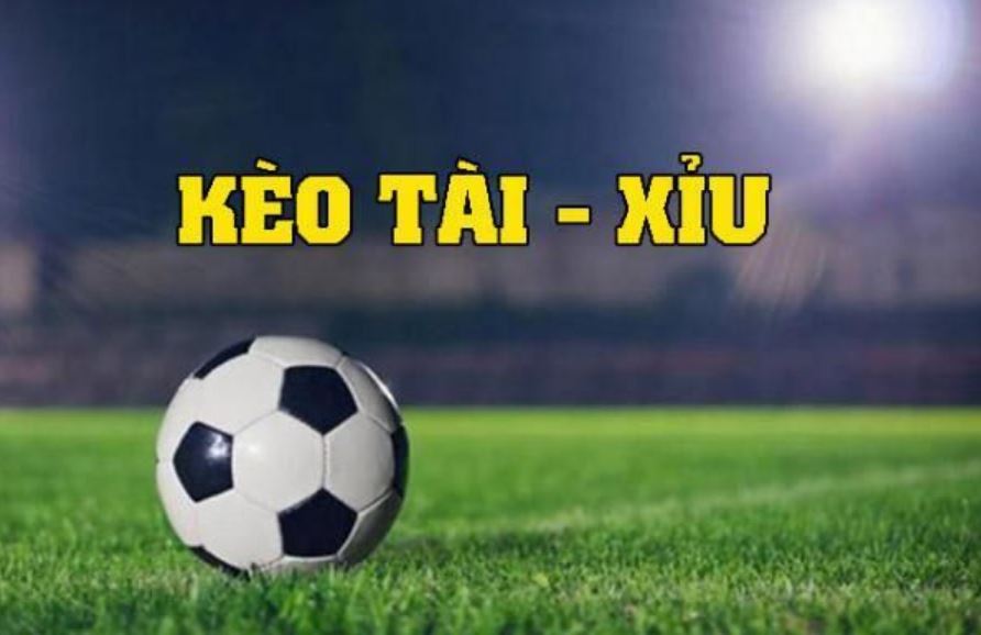 Hướng dẫn dân cược cách đọc kèo tài xỉu tại Sin88bet