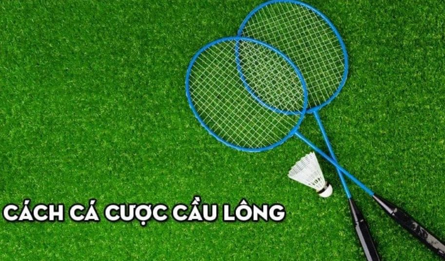 Cách chơi cá cược cầu lông chuyên nghiệp