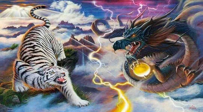Giới thiệu sơ lược về Rồng Hổ đang có tại Sin88